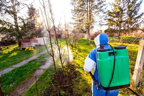 Back view on gardener in protective overall sprinkles fruit trees with long.. Stock Photos