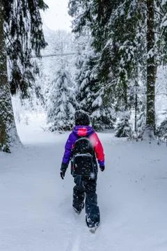 Back view girl under the snow in forest Stock Photos