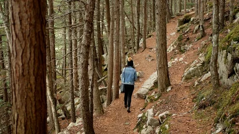 Back view of a girl walking in a trail in the middle of a forest in Alaska. Stock-Footage 122013531
