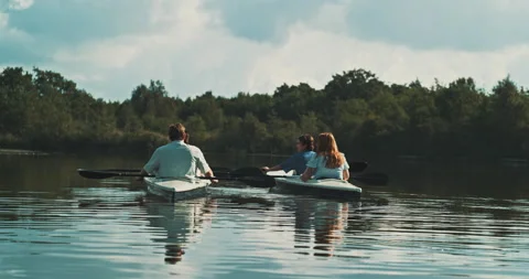 Back view of group of friends canoeing Stock Footage 221318966