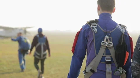Back view of group professional skydivers in a suit Stock Footage 133336065