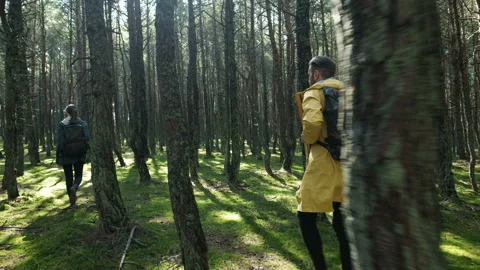 Back view guy with girlfriend spending time in the autumn woodland thicket. Hike Stock Footage 199492964