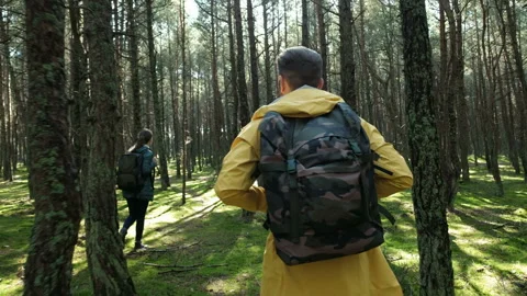 Back view guy with girlfriend spending time in the autumn woodland thicket. Hike Stock Footage 199492987