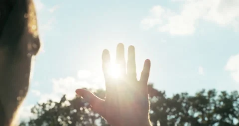 Back view of handsome adorable older man holding hand against beautiful sunset Stock Footage 219713287