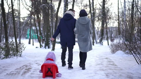 Back view happy young parents walking in winter park pulling sled with child Stock Footage 219904588