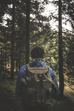 Back view of hiker with backpack in dark pine forest, Val Seriana 스톡 사진