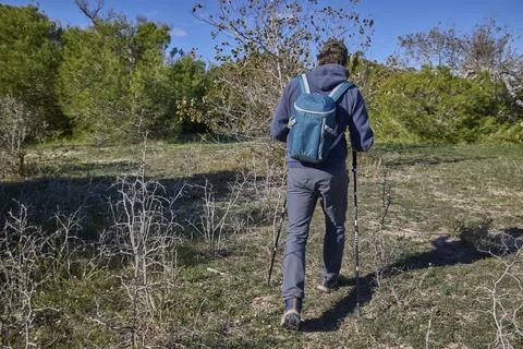 Back view of hiker walking with backpack and trekking poles on forest trail Stock Photos