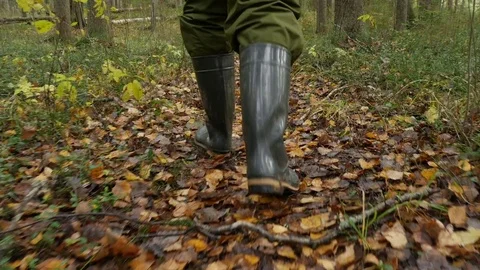 Back view of hiker's legs in rubber boots walking through the autumn forest Stock-Footage 81653032
