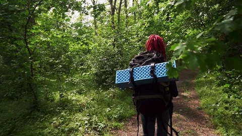 Back view of hikers walk in a mountains in nature reserve Stock Footage 114603575