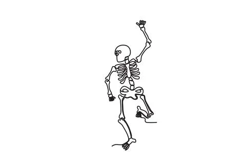 Back view of a human skeleton Stock Illustration