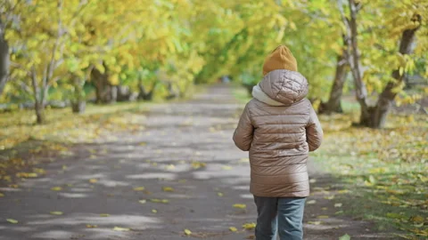 Back view kid walking holding leaf on autumn park path Stock Footage 316677759