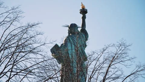 Back View of Liberty Through Bare Branches Stock Footage 309860115