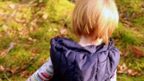 Back view of little blonde boy walking in autumn forest looking for mushrooms. S Vidéo 139145310