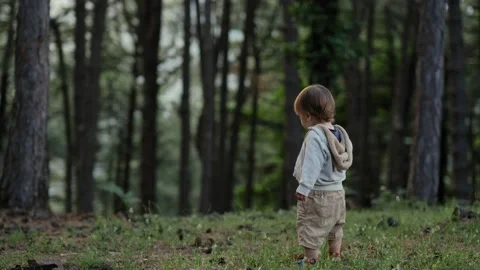 Back view of little boy tasting pine and  standing alone in forest Stock Footage 147282489