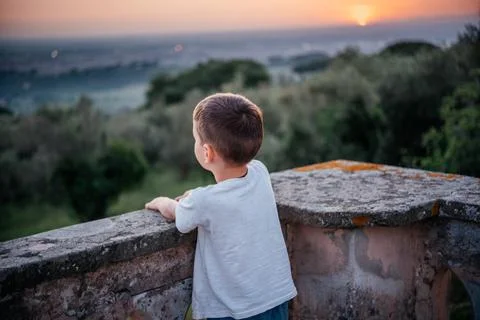 Back view of a littlle boy looking at beautiful sunset over olive grove in hilly Stock Photos