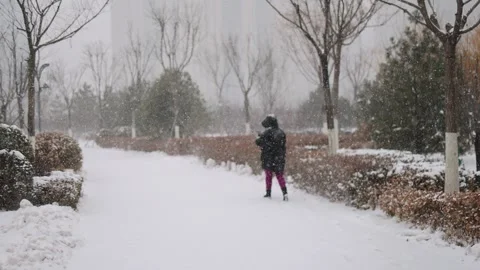 Back view of a lonely person walking in heavy snow Stock-Footage 288291754