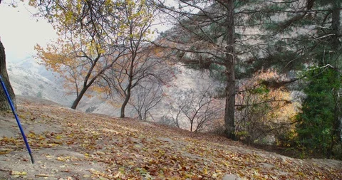 Back view of a long-haired young woman in a marching outfit walking on the Stock Footage 97838805