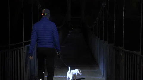 Back view of a man in a blue jacket walking his dog along a bridge at night Video stock 147269479