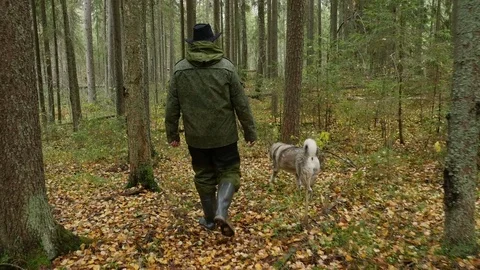 Back view of man in camouflage walks through autumn forest with hunting dog Video stock 81653000