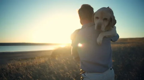 Back view of man carrying old dog in sun light slow motion Stock Footage 68311527