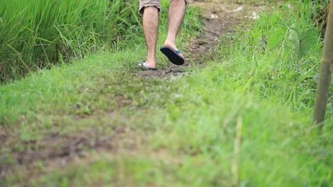 Back View of Man Feet Wearing Sandals Walking on Grassy Ridge Stock Footage 346444055