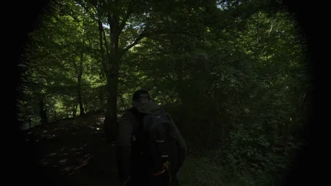Back view of man hiking in the dark wild forest with backpack during the day Stock Footage 119359189