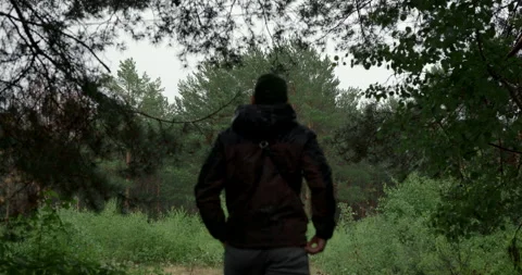 Back view of man looking at green pine forest on rainy day, audio included Stock Footage 340845681