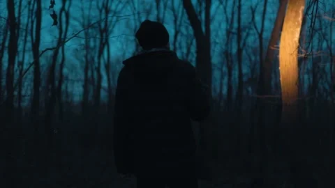 Back View Man Looking Up At Trees With Flashlight In Dark Forest lifestyle Stock Footage 334002258
