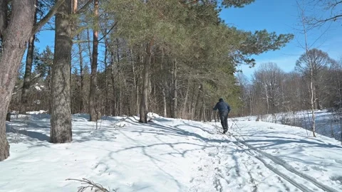 A back view of a man on skis walking in a winter forest 库存影片 337101597