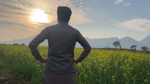 Back View of Man Standing in Mustard Flower Field at Cloudy Sunset Vídeos de archivo 335536318
