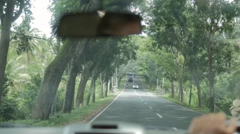Back view of man with sunglasses driving a car on road with green trees Stock Footage 68030190