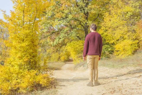Back view man tourist with backpack in sweaters near the lake in the forest in Stock Photos