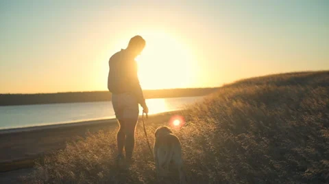Back view of man walking with dog along the edge of cliff at sunset Stock Footage 68311829