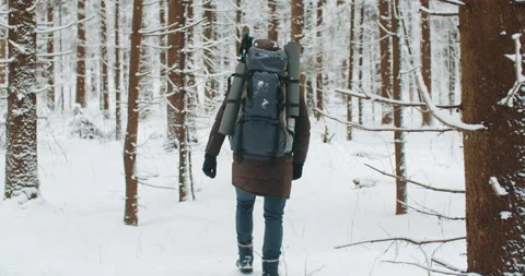 Back view man walking in winter forest during snowfall, trek in snowy woodland Stock Footage 147722555