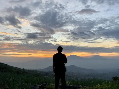 Back View of Man Watching Beautiful Mountain Sunrise over Terraced Farms 스톡 사진