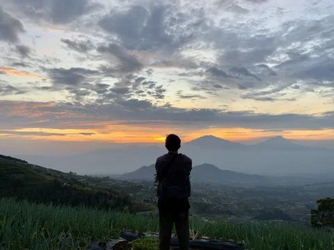 Back View of Man Watching Beautiful Mountain Sunrise over Terraced Farms Stockfoto's