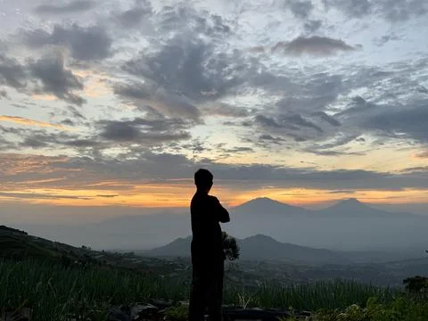 Back View of Man Watching Beautiful Mountain Sunrise over Terraced Farms 库存照片