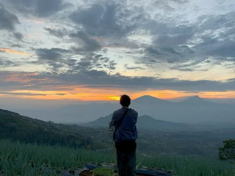Back View of Man Watching Beautiful Mountain Sunrise over Terraced Farms Stock Photos