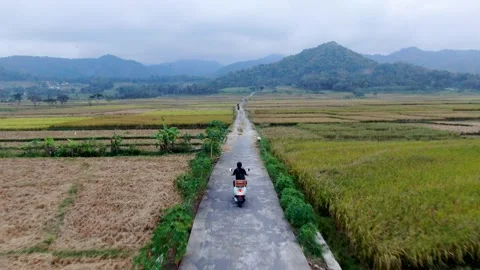 Back view of man without helmet driving motorbike on rural road between Stockbeeldmateriaal 171800094