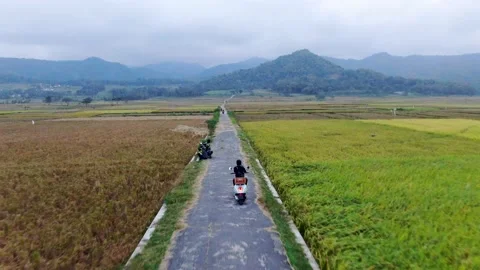Back view of man without helmet driving motorbike on rural road between Stock Footage 171800229
