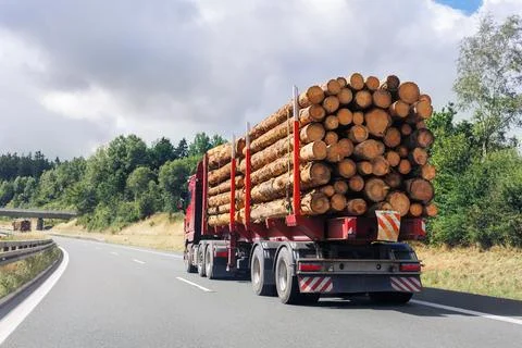 Back view many long heavy industrial wood carrier cargo vessel truck trailer Stock Photos