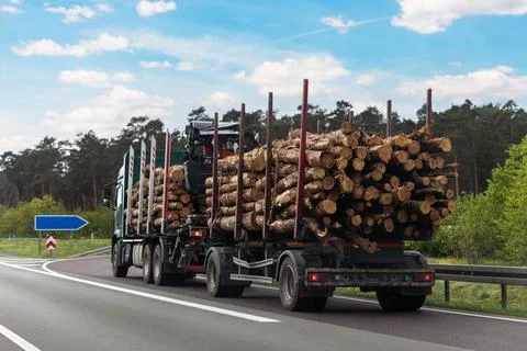 Back view many long heavy industrial wood carrier cargo vessel truck trailer 写真素材