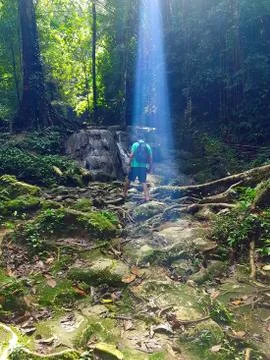 Back view of middle aged or young arabic man with backpack in the jungles Stock Photos