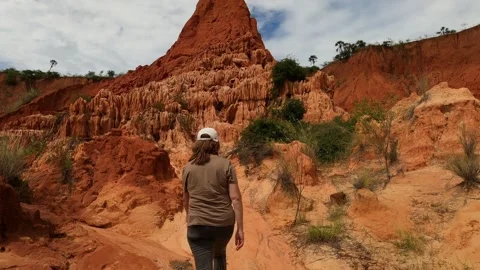 Back view of middle aged woman tourist walking in Tsingy Rouge Park Stock Footage 310535341