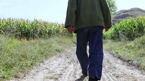Back view of old farmers working in the fields Stock Footage 228707642