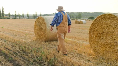 Back view of older agricultural worker walking through the hay field. 스톡 동영상 342174139