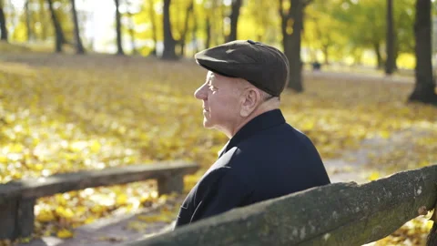 Back view of an older man resting on a park bench, admiring beauty and telling Video stock 132271675
