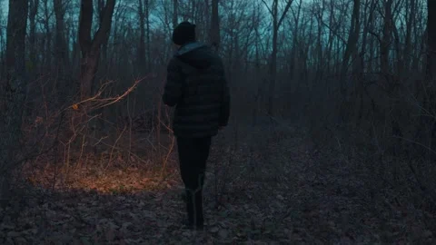 Back View One Man Walking In Dark Forest With Flashlight lifestyle Vídeos de archivo 334002066