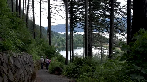 Back view of people hiking down the hill toward Multnomah Falls in the Columbia Stock Footage 245781293