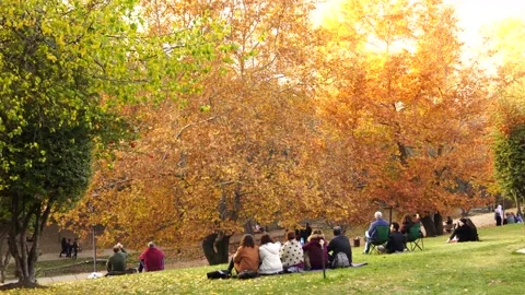Back view of people sitting in a park in fall Stock Footage 142668090